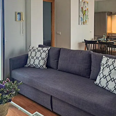 Pet Friendly In